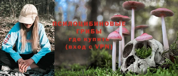 jwh Алзамай