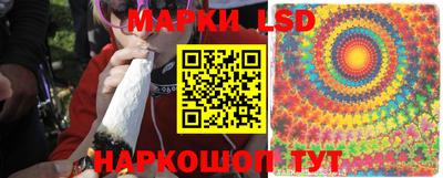 шишки Балашиха