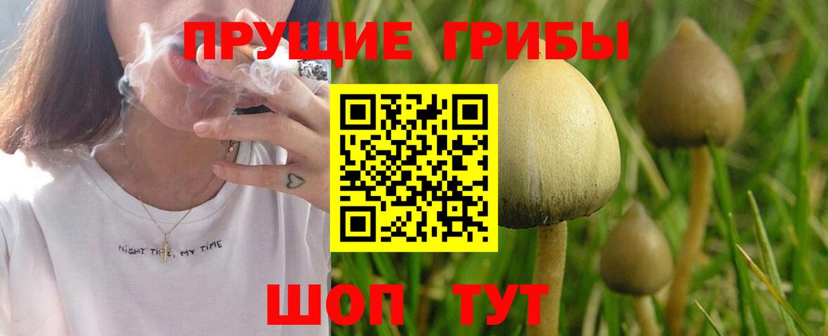 Галлюциногенные грибы GOLDEN TEACHER  Вход с VPN  Бахчисарай  Псилоцибиновые грибы мицелий 